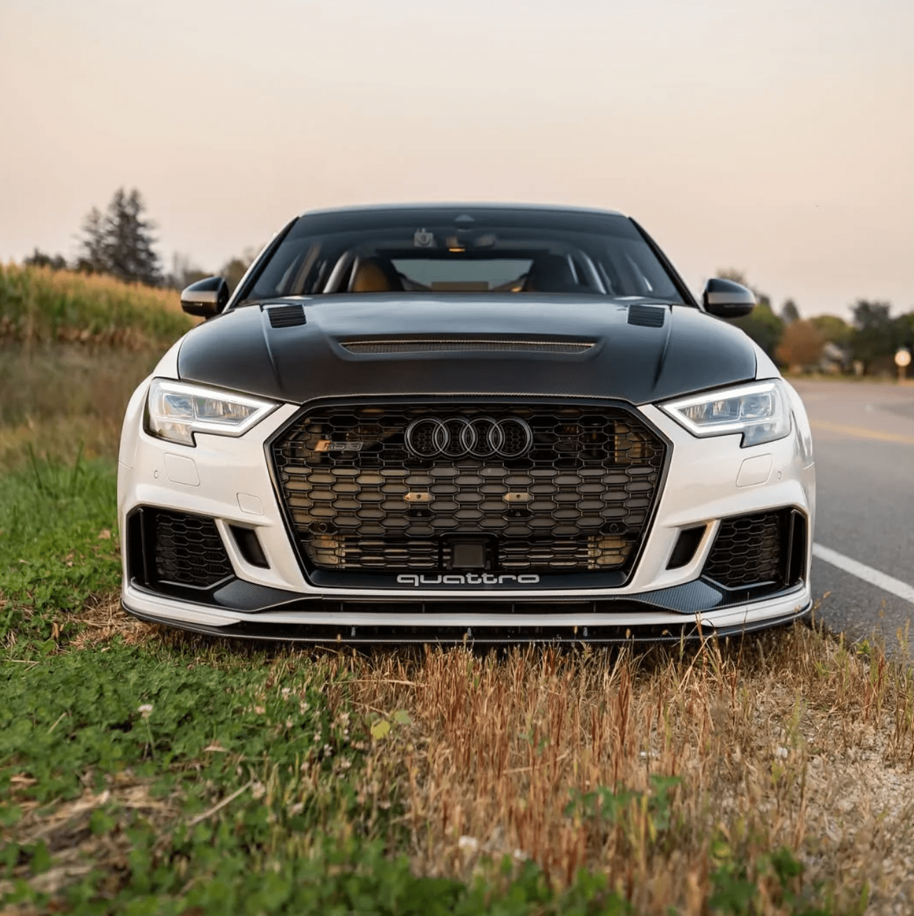 CMST - AUDI RS3 S3 A3 8V CARBON FIBRE BONNET HOOD V2 - Aero Carbon UK