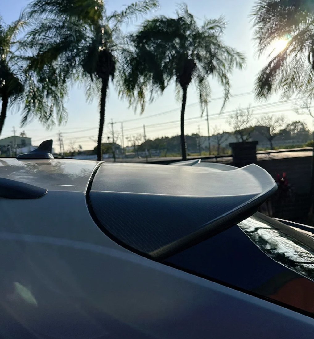 AULENA - AUDI RSQ8 DRY CARBON FIBRE REAR ROOF SPOILER – Aero Carbon UK