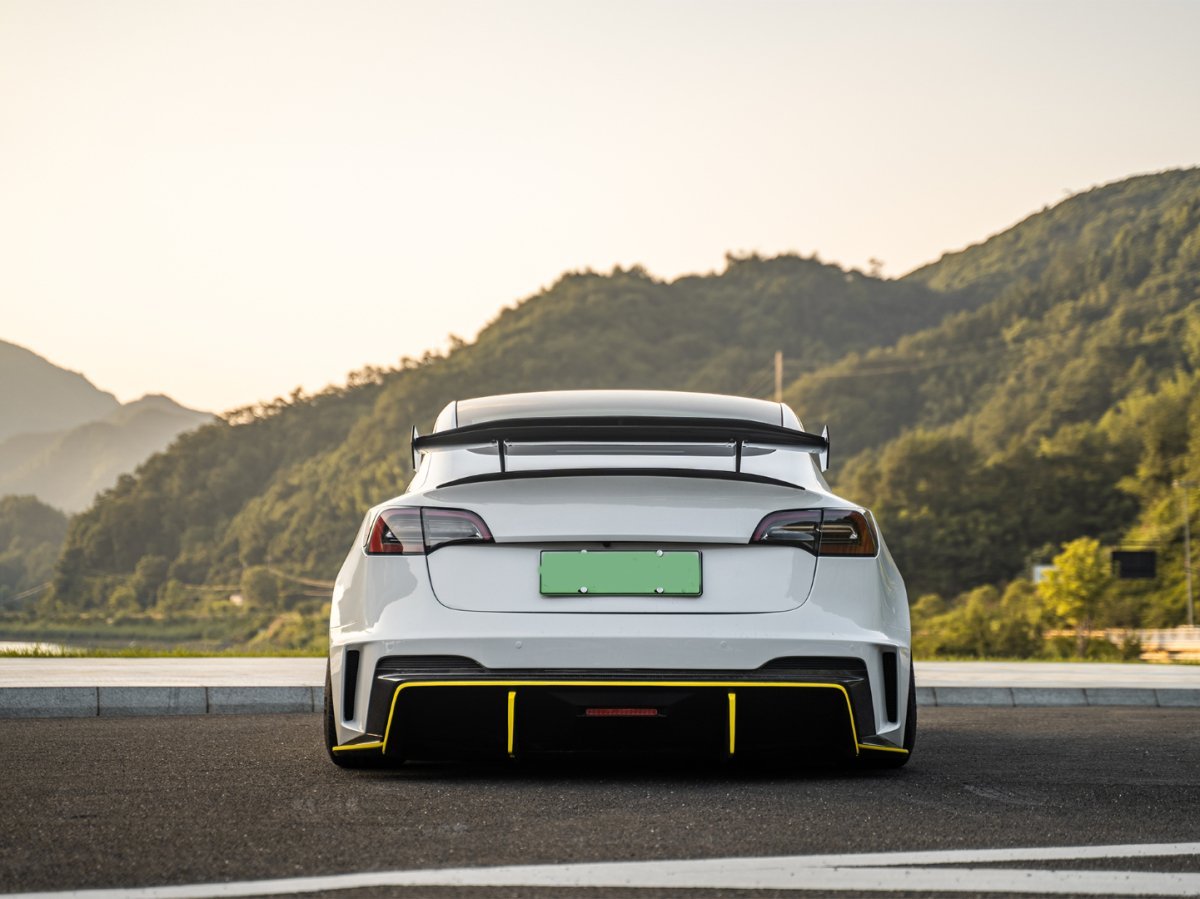 ROBOT - TESLA MODEL 3 HACKER DOUBLE DECKER REAR SPOILER WING V3 - Aero Carbon UK